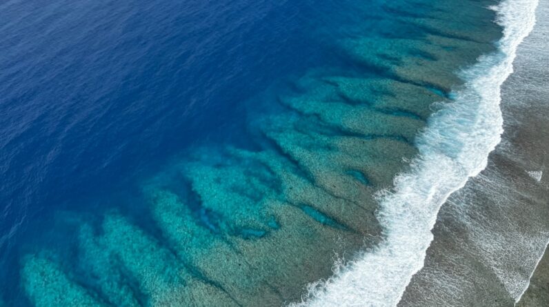 Photo Ocean Acidification