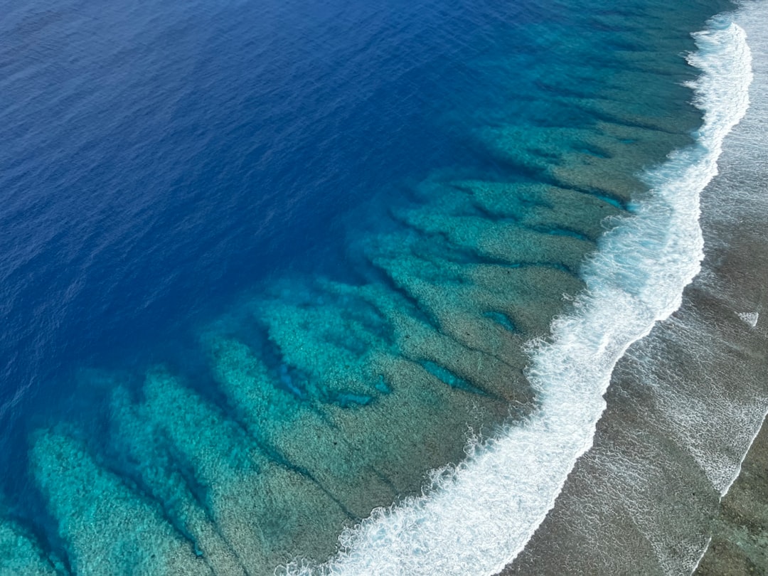 Photo Ocean Acidification