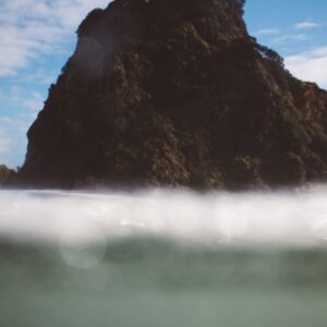 Photo Underwater Forest