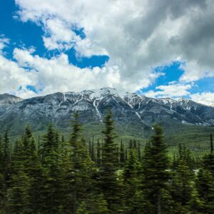 Photo Wildfire aftermath