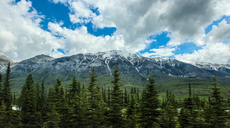 Photo Wildfire aftermath