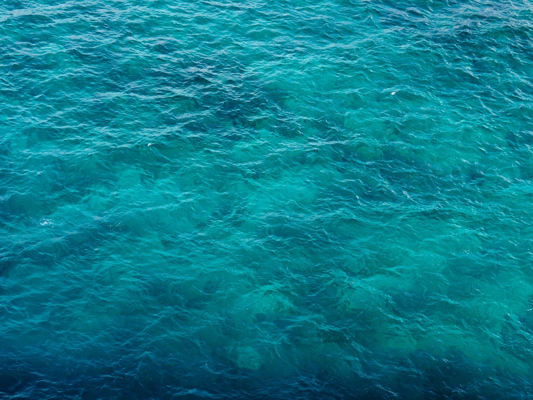 Photo Ocean Dead Zone