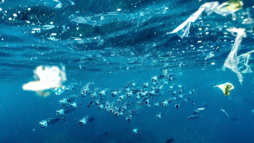 Photo Plastic pollution