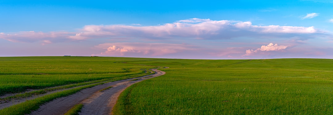 Photo Green landscape