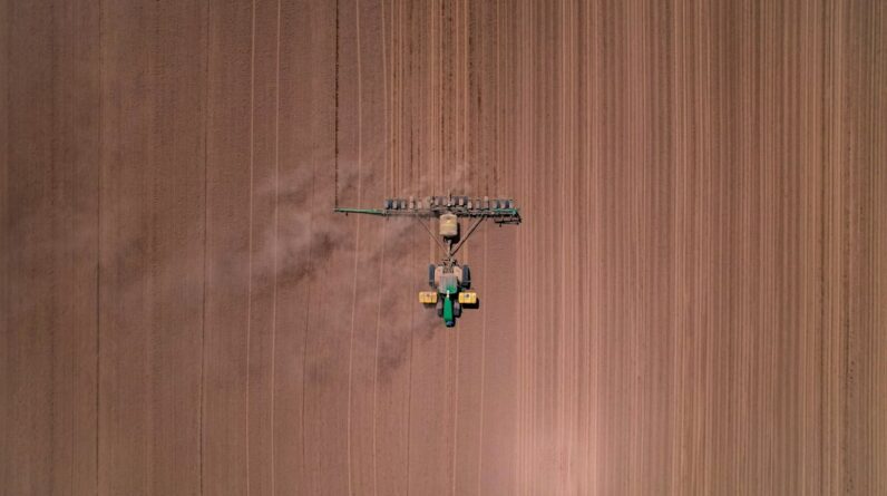 Photo Drone planting