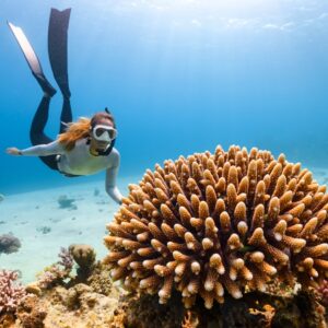 Photo Coral reef