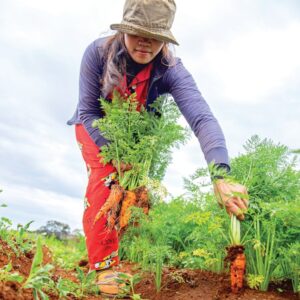 Photo Community garden