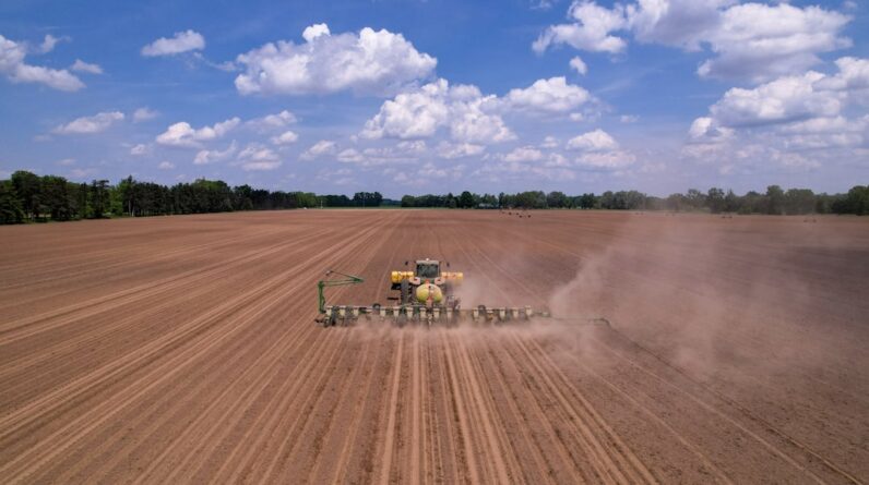 Photo Drone planting
