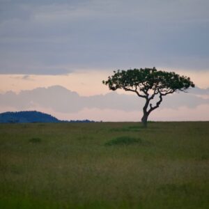 Photo Safari landscape