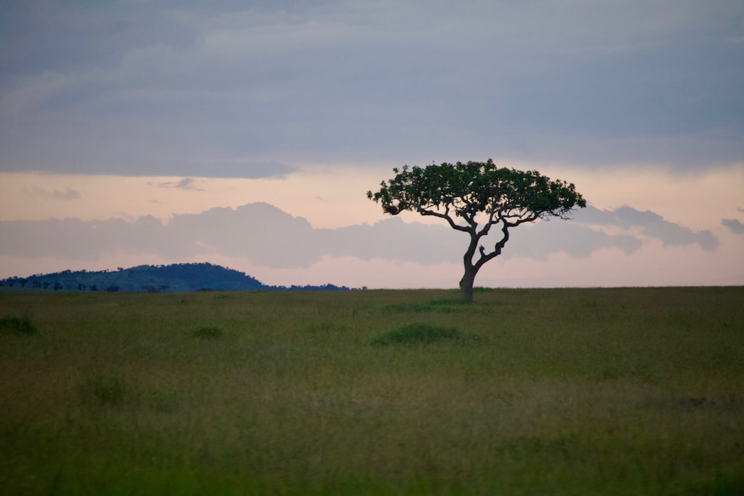 Photo Safari landscape