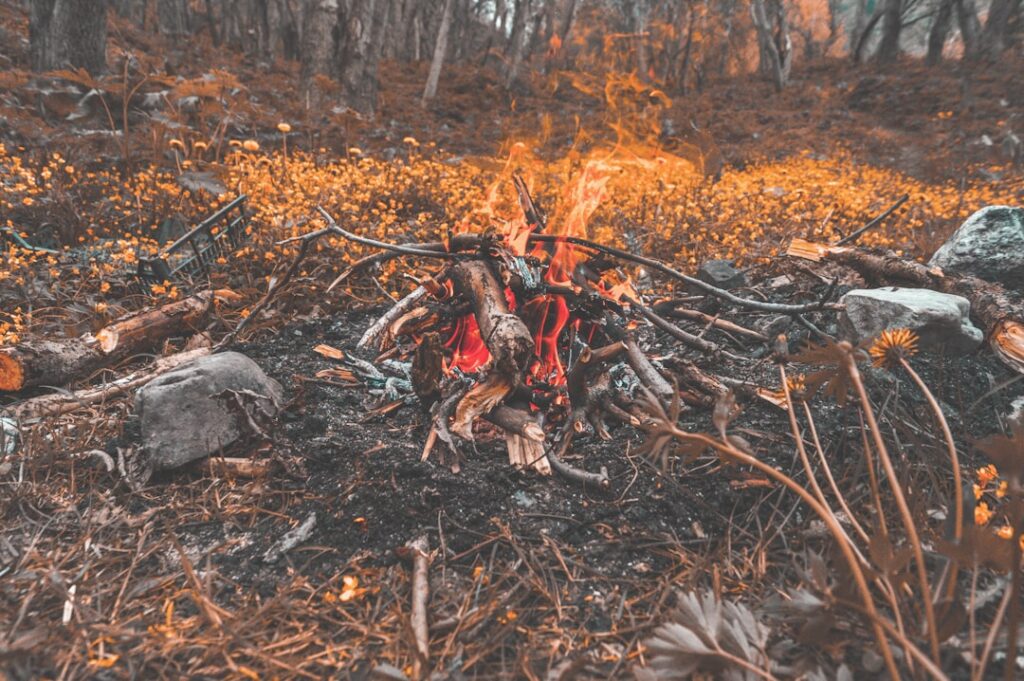 Photo Wildfire aftermath