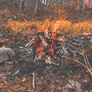 Photo Wildfire aftermath