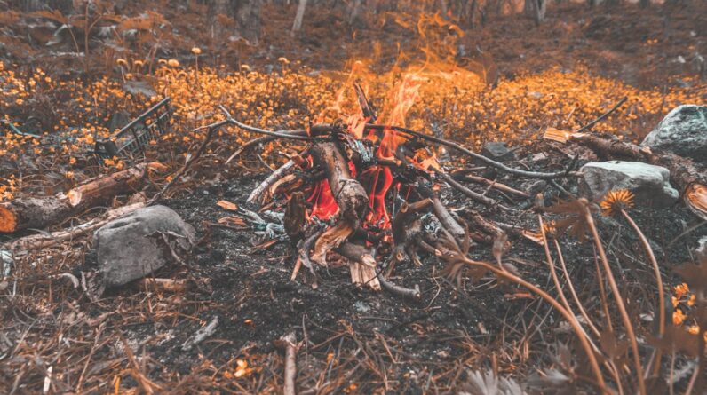 Photo Wildfire aftermath