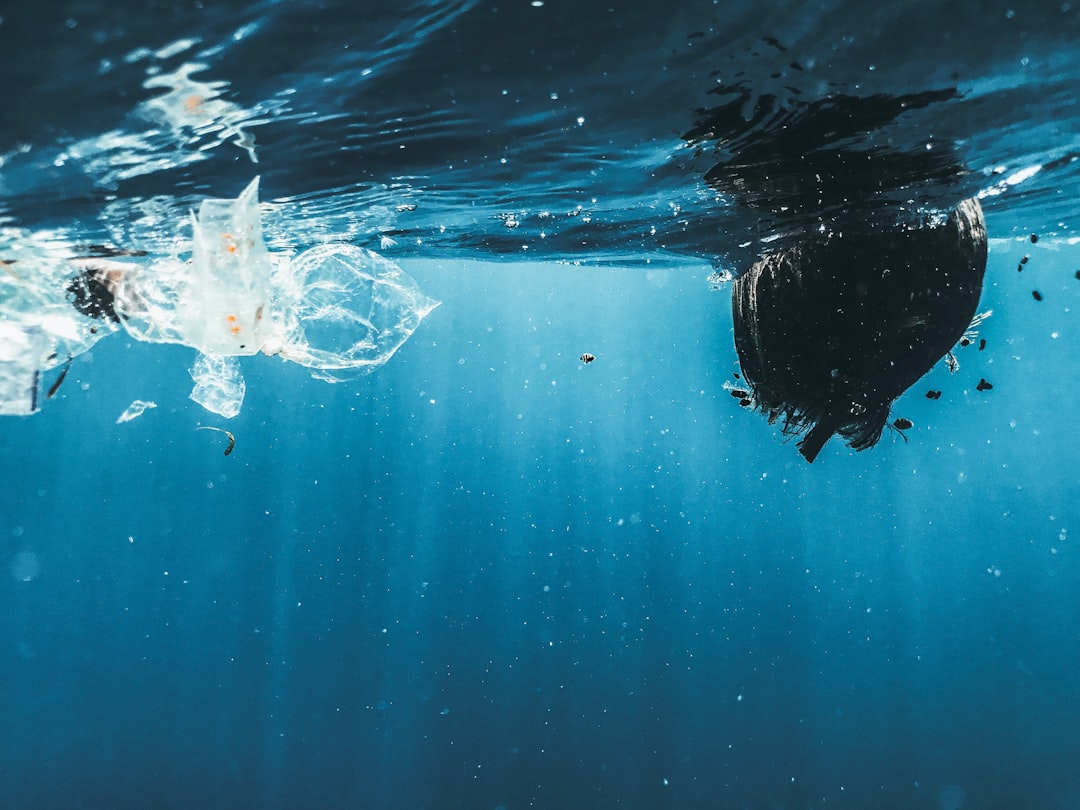 Photo Ocean Pollution