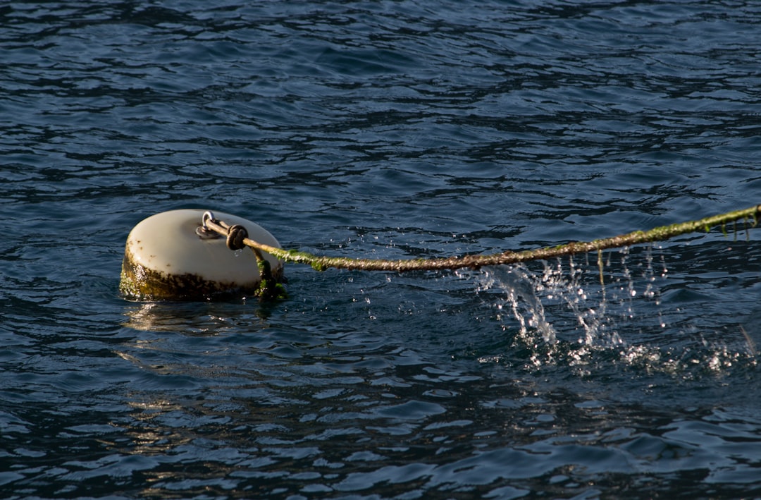 Photo Ocean Buoy