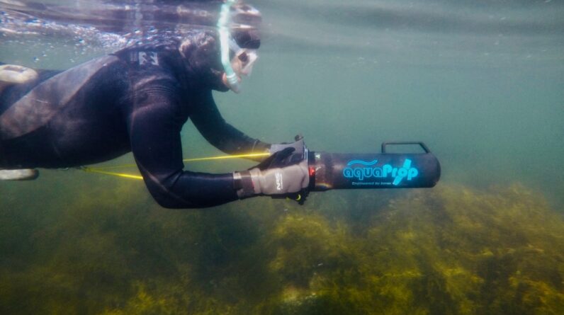 Photo Underwater research