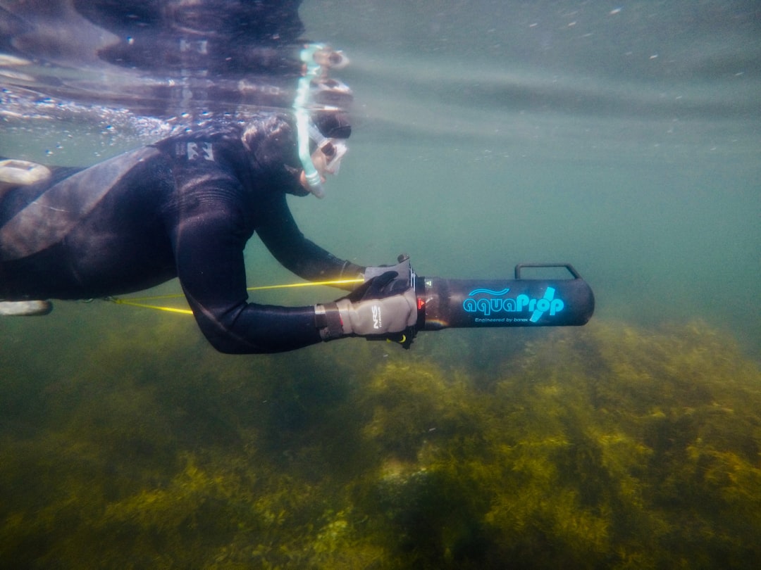Photo Underwater research