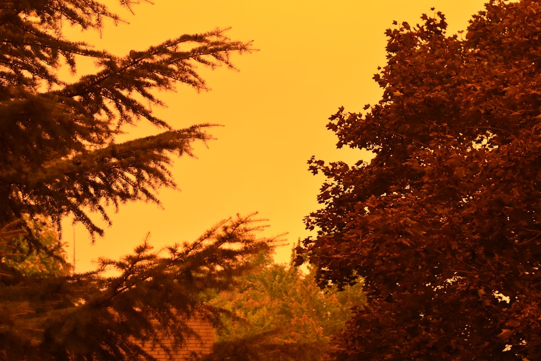 Photo Wildfires