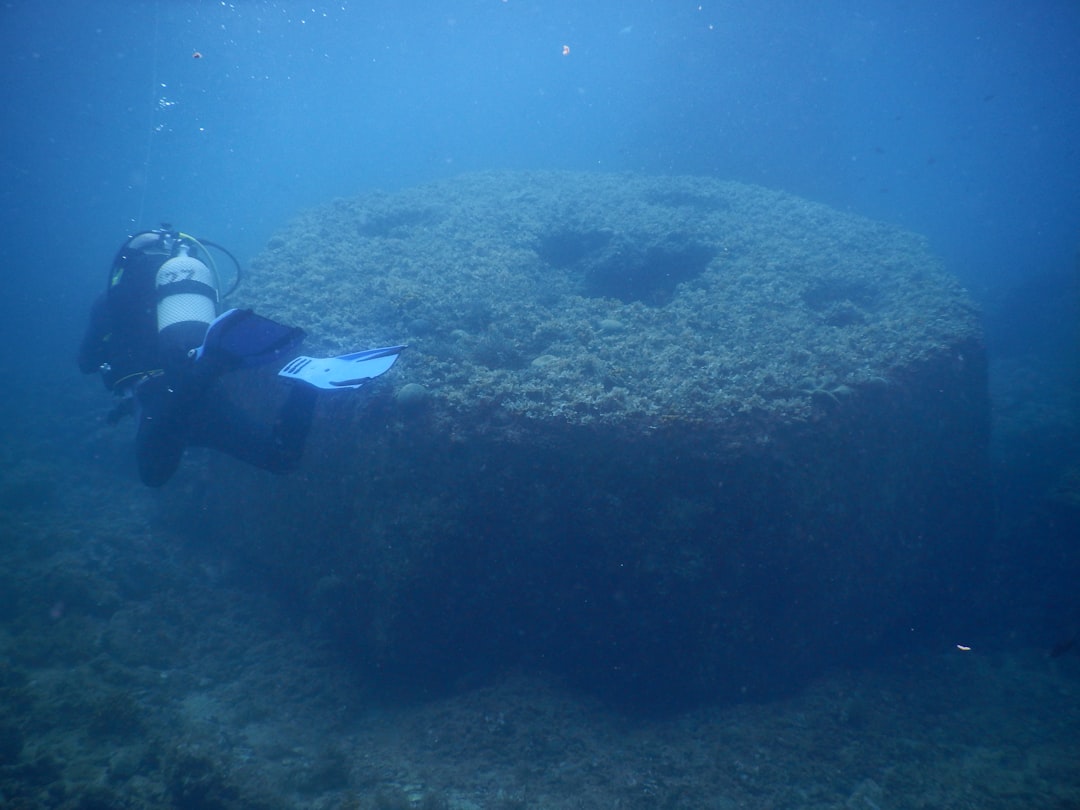Photo Underwater research