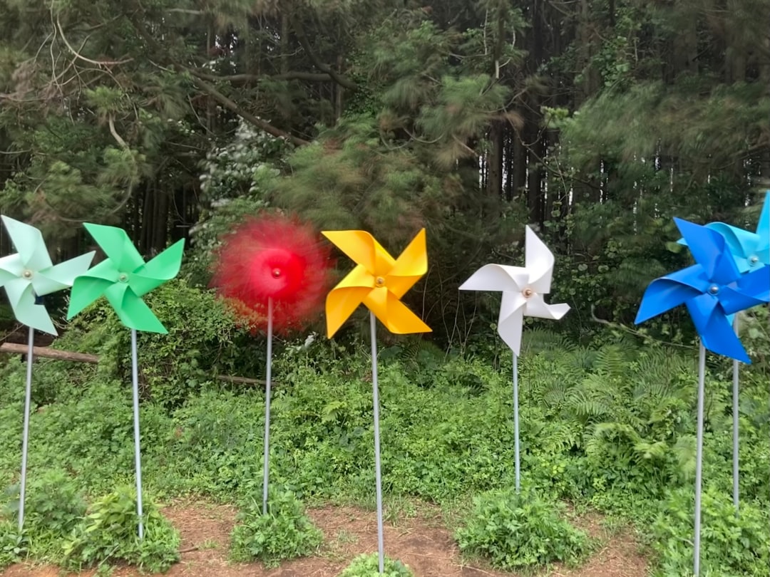 Photo Eco-friendly sculptures
