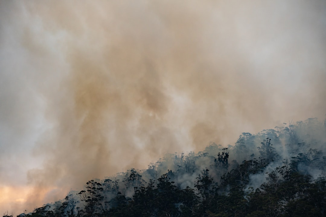 Photo Wildfires