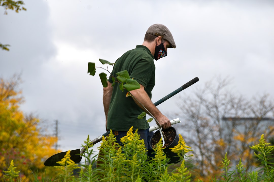 Photo Tree planting