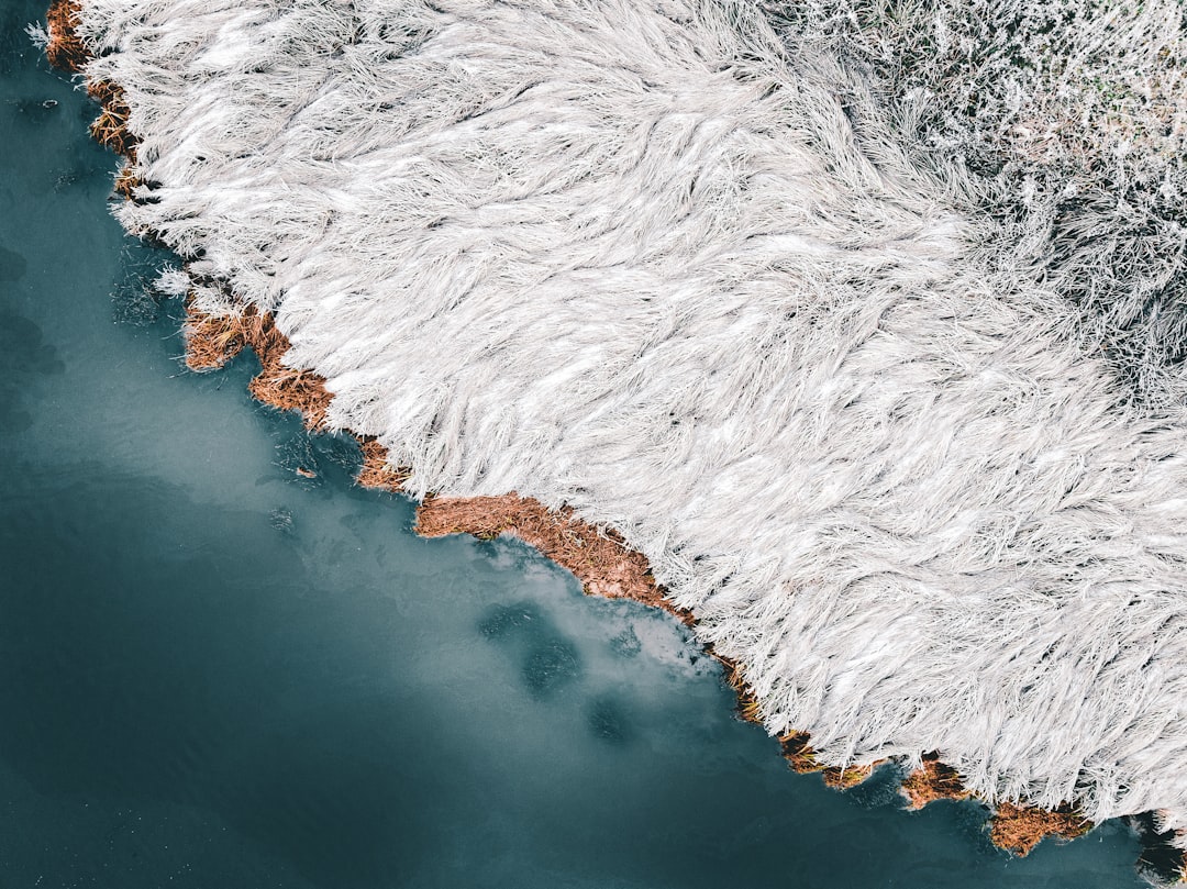 Photo Climate data
