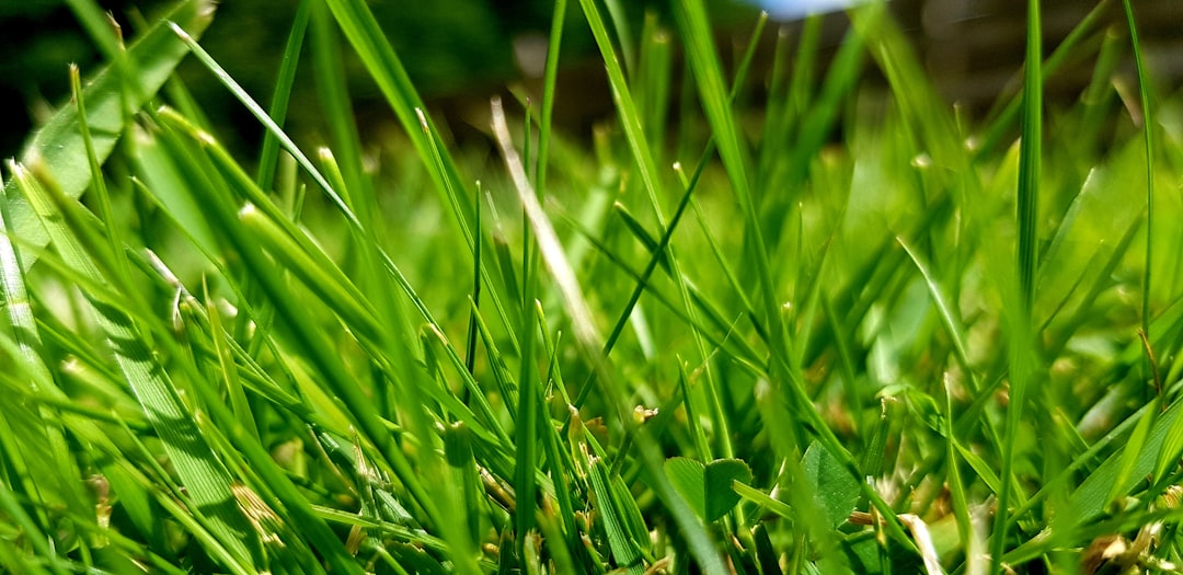 Photo Eco-friendly fertilizer