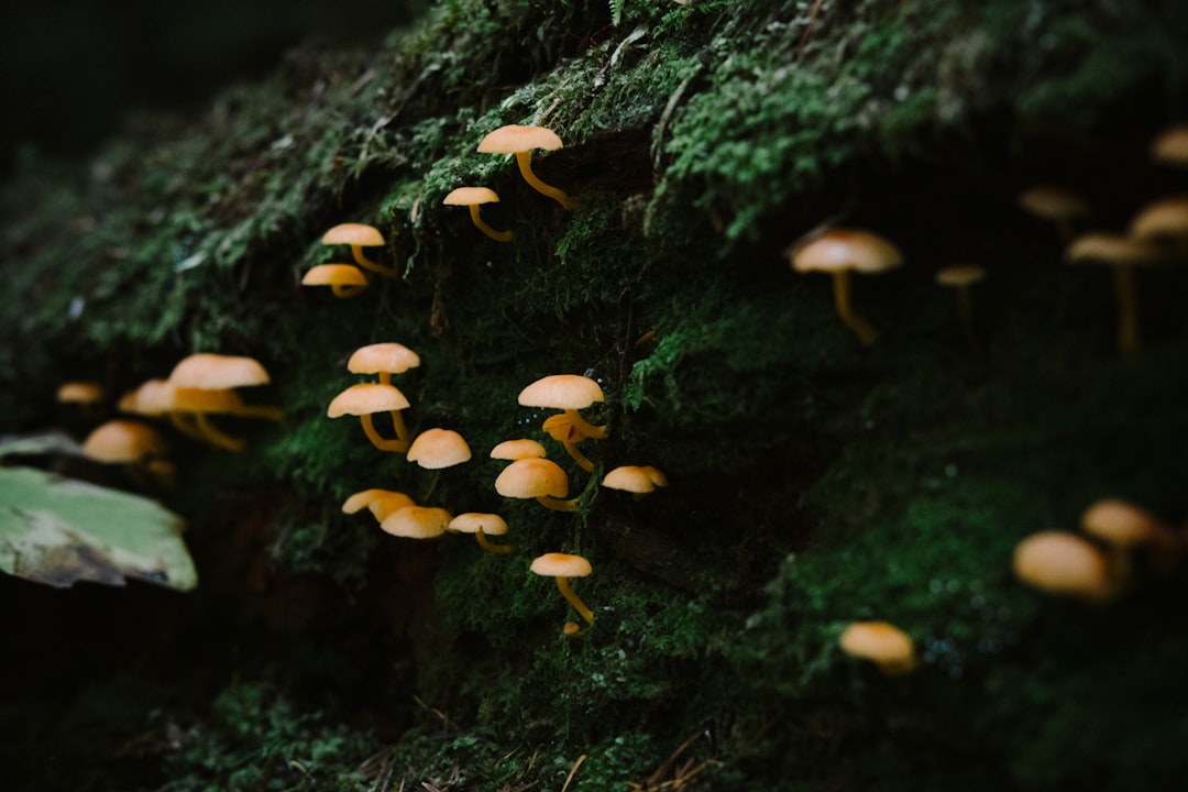 Photo Diverse ecosystem