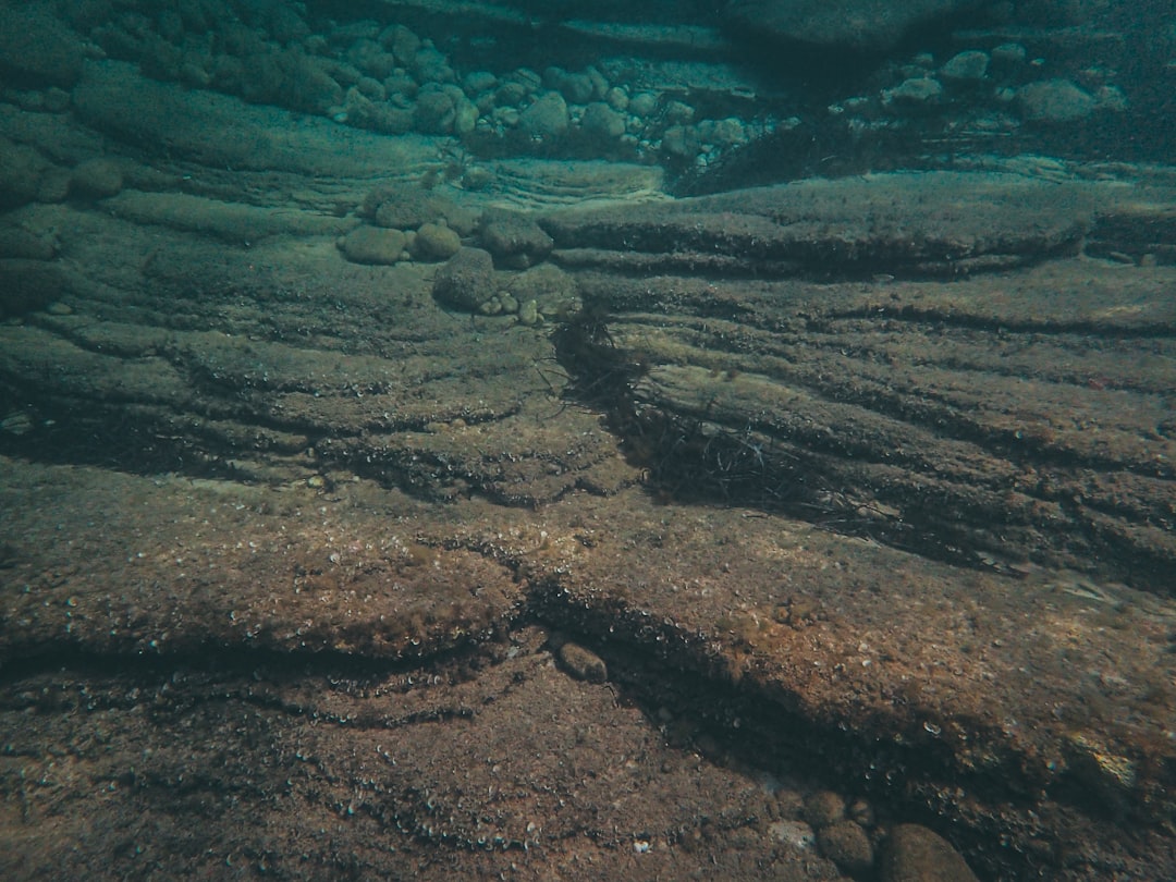 Photo Underwater devastation