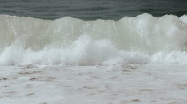 The Oceanic Oxygen Cycle