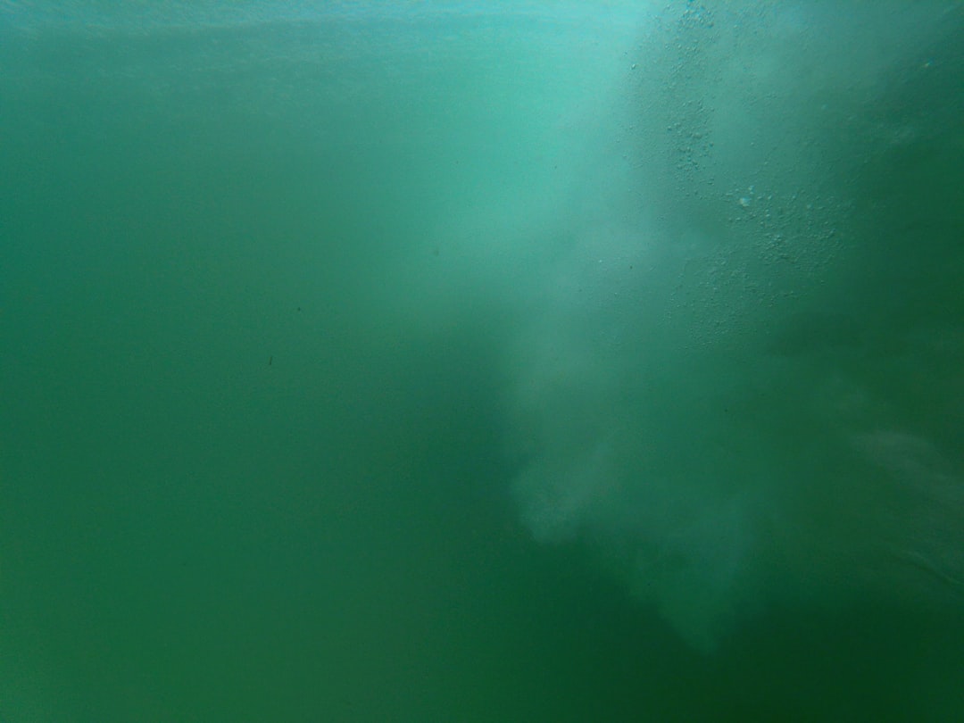 Photo Underwater cleanup