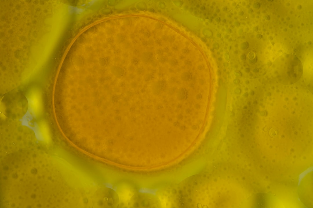 Photo Microscopic organisms