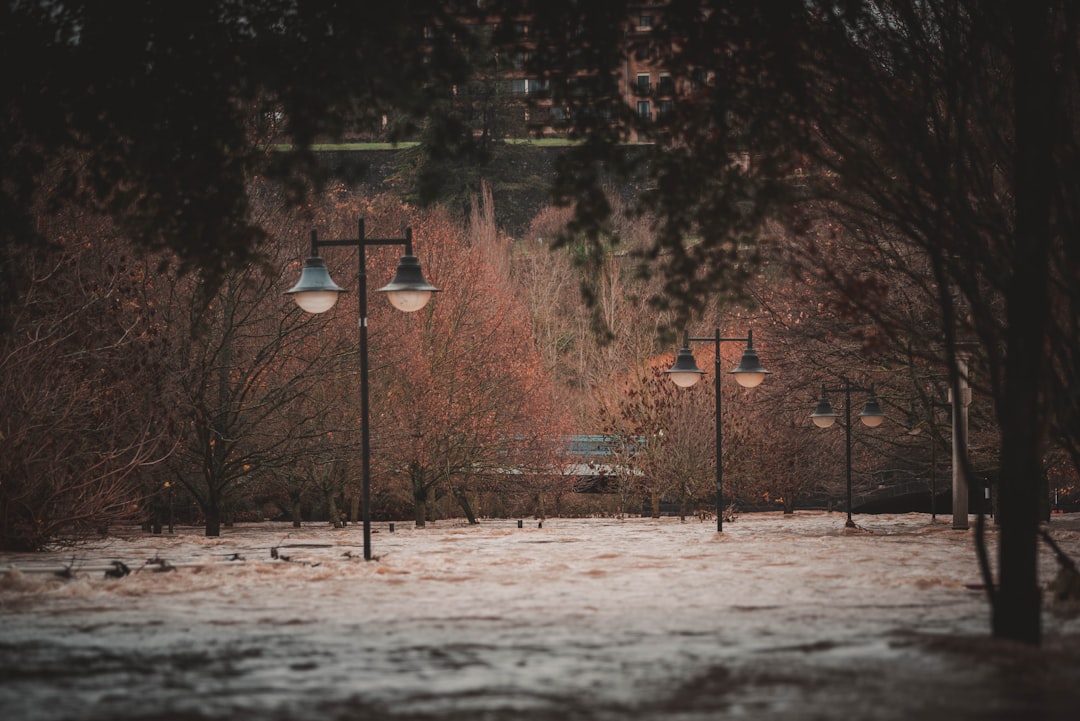 Photo Flooded city