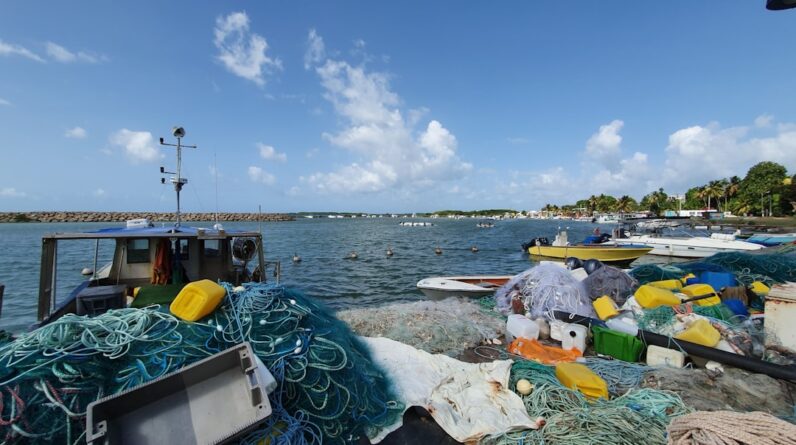 Photo Ocean Cleanup Array