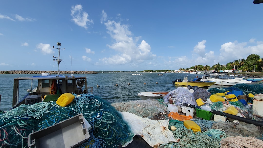 Photo Ocean Cleanup Array