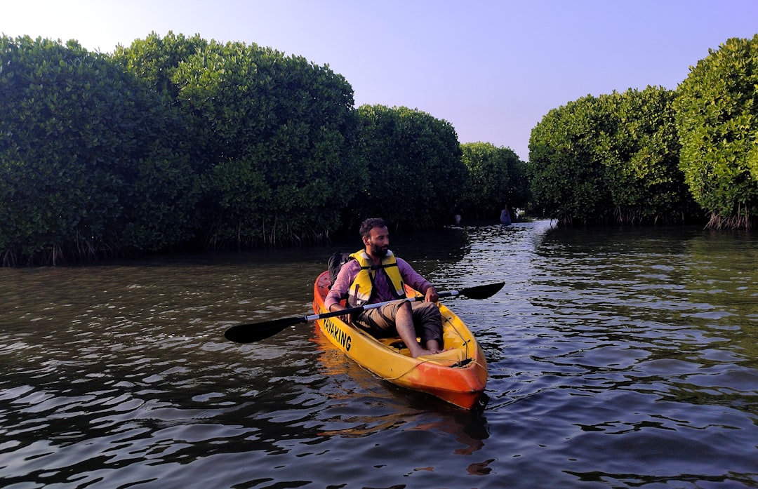 Photo Mangrove forests