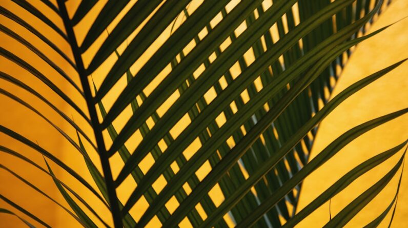 Photo Diverse ecosystem