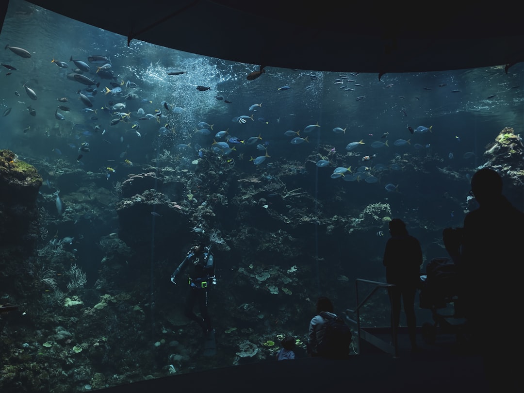 Photo Underwater Garden