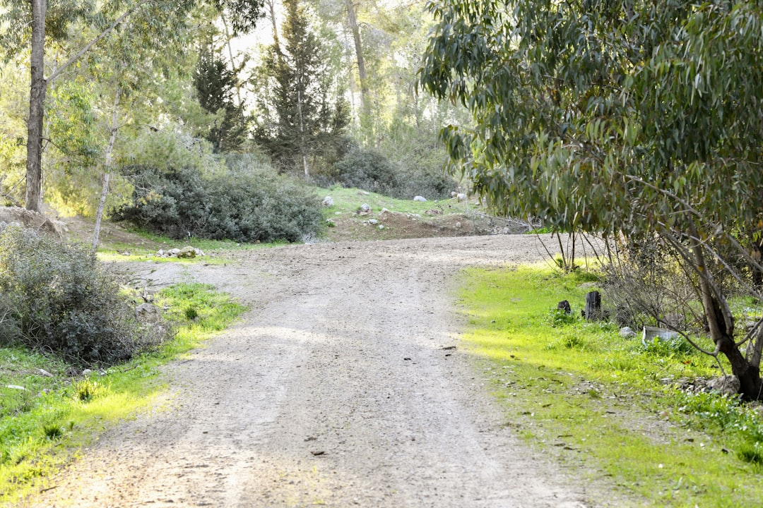 Photo Healthy soil