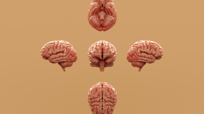 Photo Healthcare Infographic