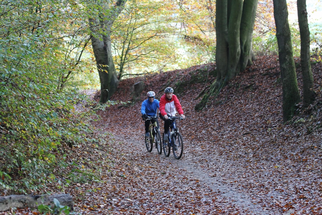 Photo Healthy forest