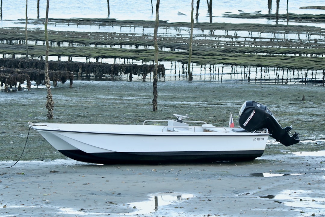 Photo Oyster beds