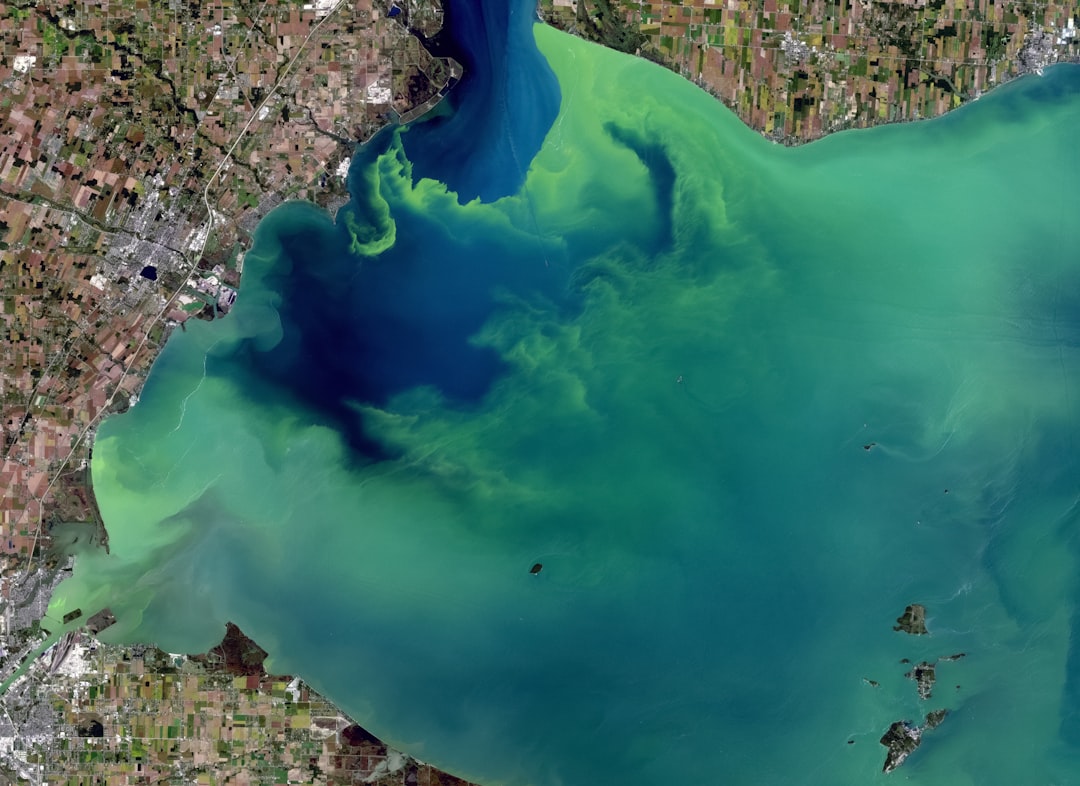 Photo Algae bloom