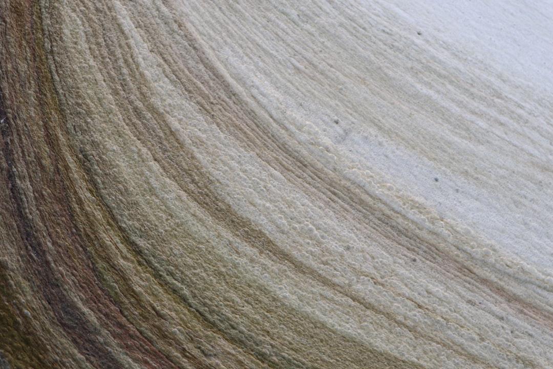 Photo Algae bloom