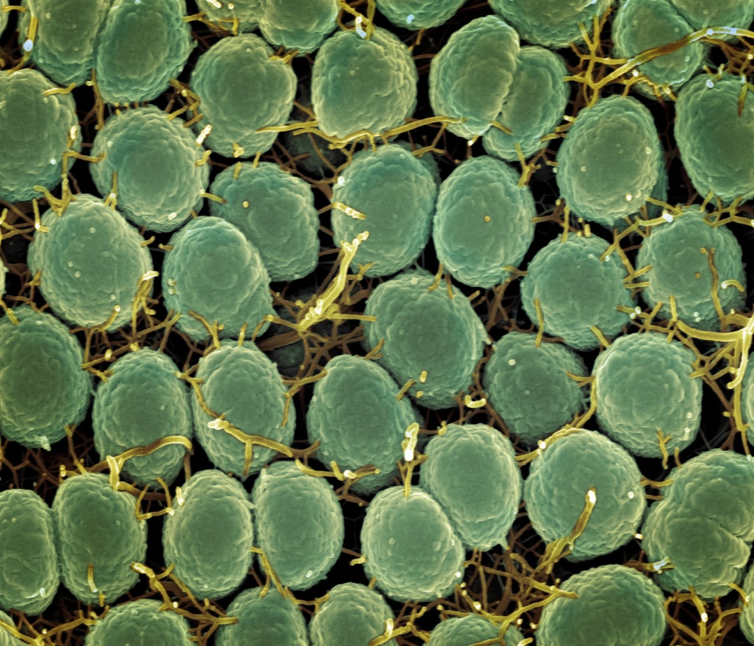 Photo Microbead pollution