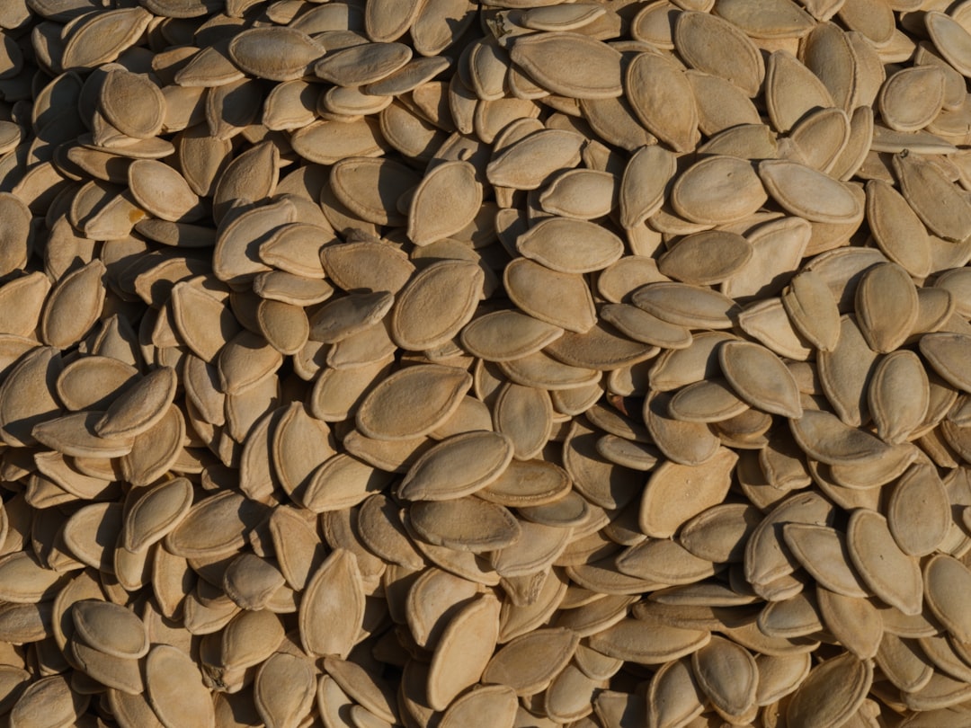 Photo Seed bank