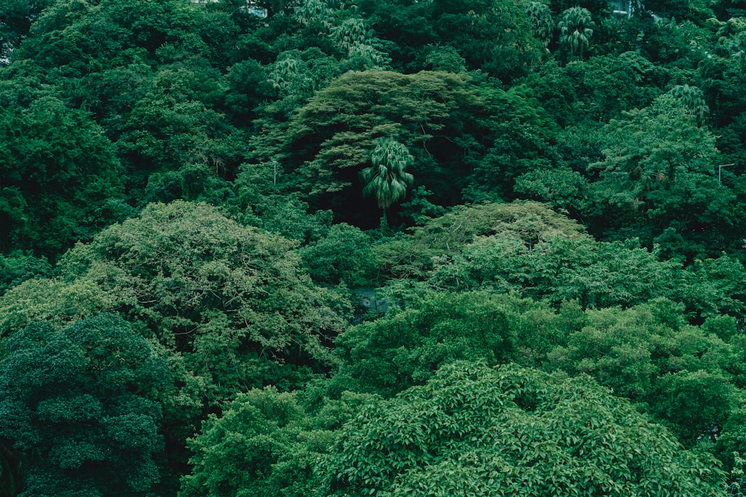 Photo Diverse Ecosystem