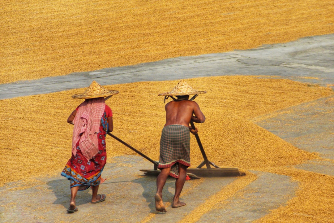 Photo Agricultural workers