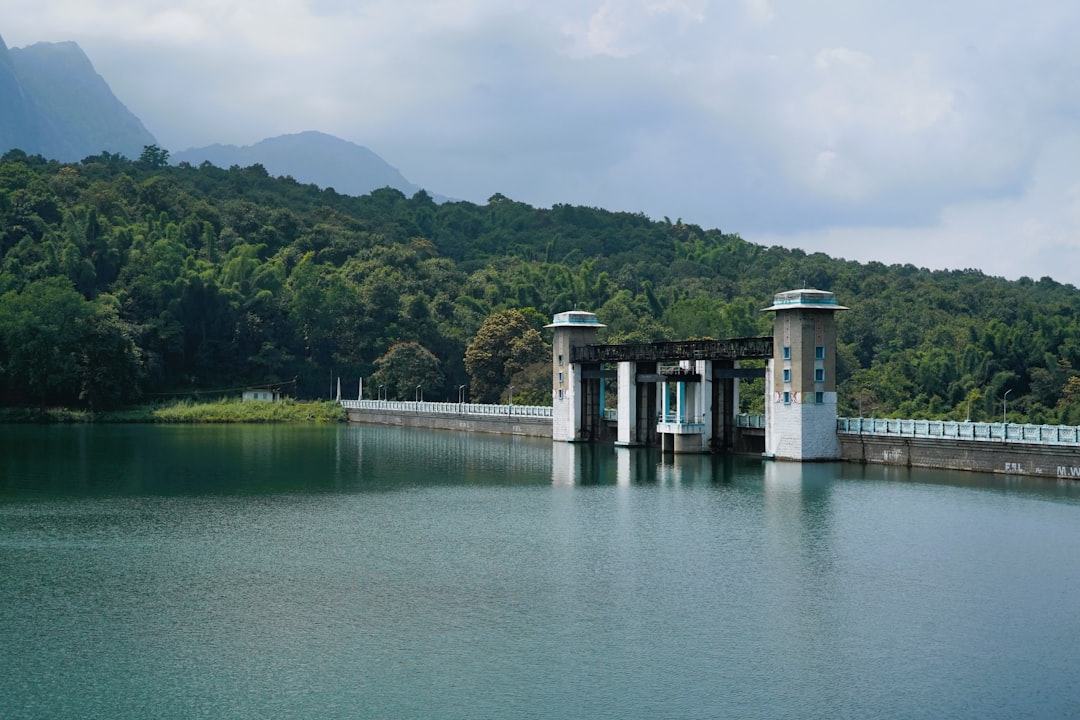 Photo Forest and reservoir